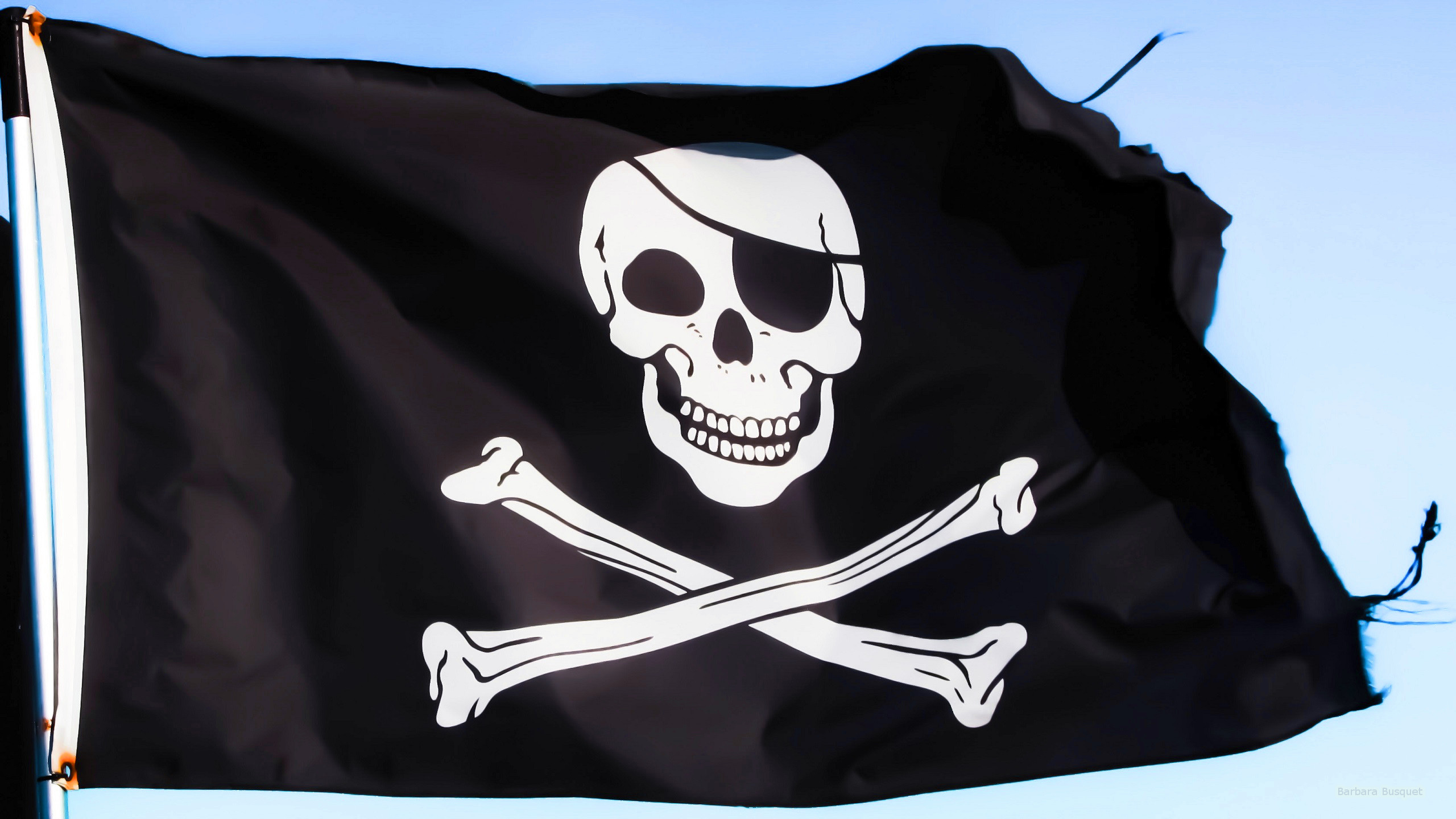 Pirate-flag_large